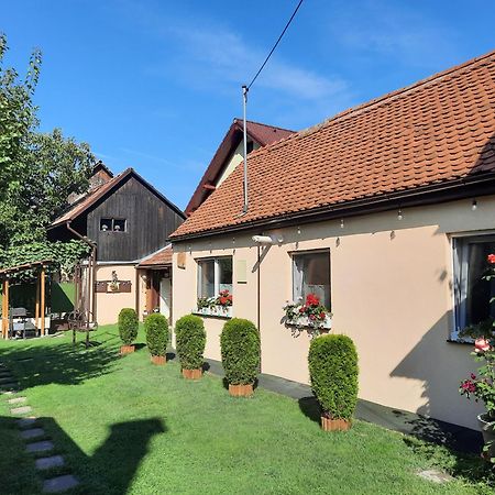Villa Casa Joy à Rîşnov Extérieur photo