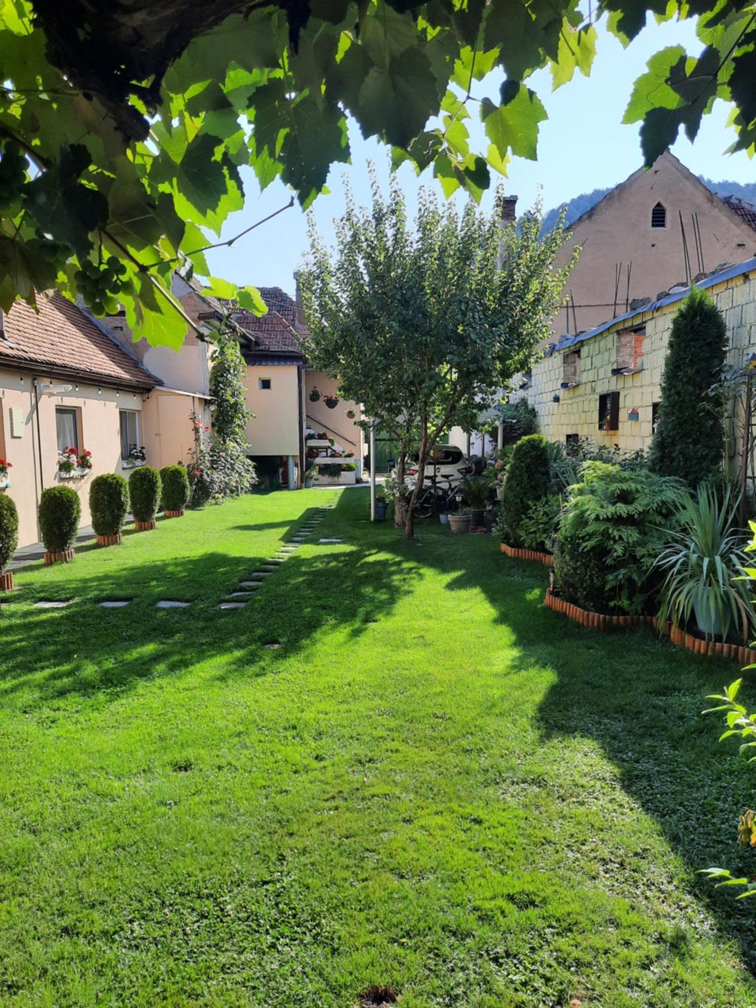 Villa Casa Joy à Rîşnov Extérieur photo